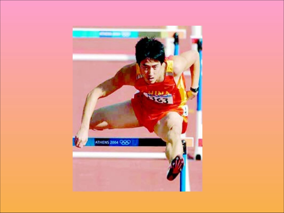 浙江省桐乡市第三中学2012-2013学年七年级数学上册-6.1-数据的收集与整理课件2-浙教版_第2页