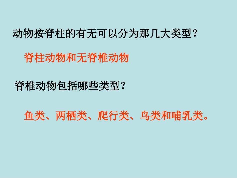 《哺乳动物-形成认识》课件1_第2页