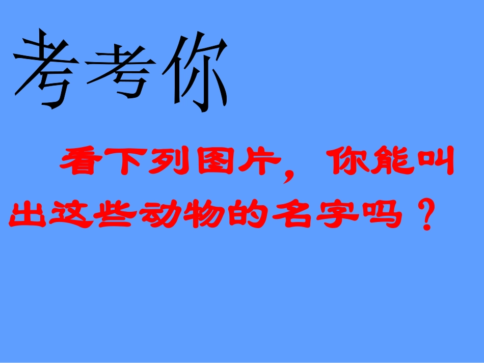 《哺乳动物-形成认识》课件1_第3页
