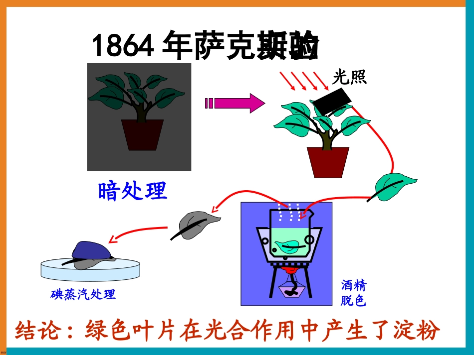 浙江省温州市2012-2013学年高二生物《光合作用》课件-浙科版必修1_第3页