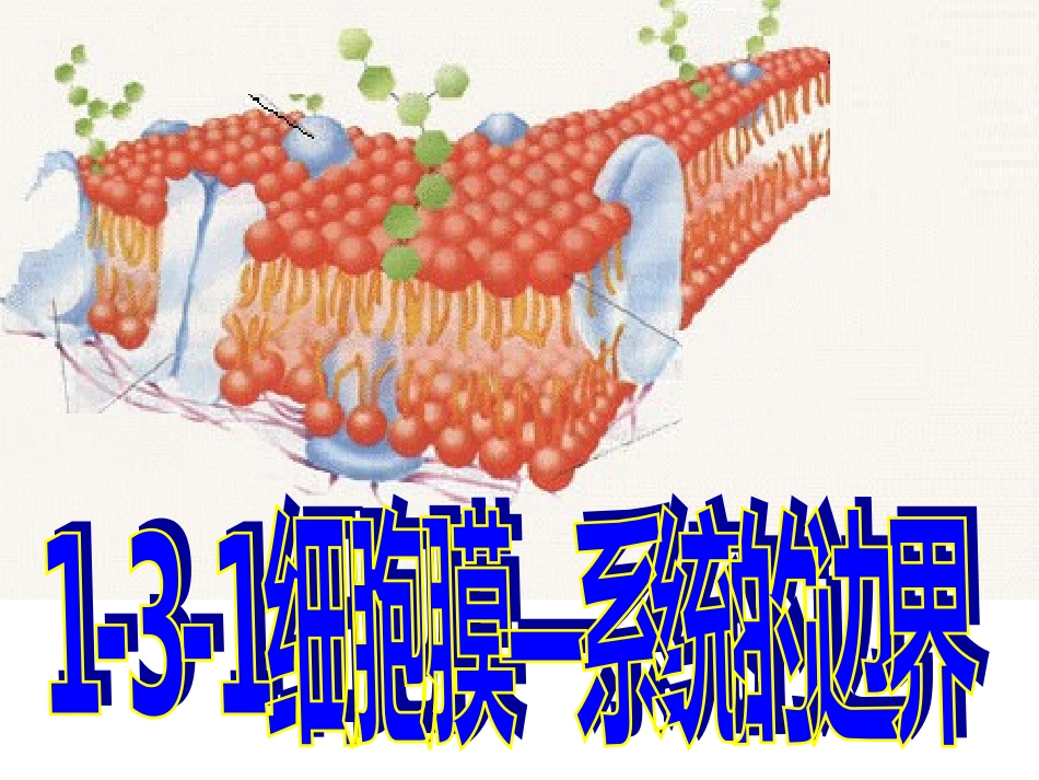 3.1-细胞膜—系统的边界-课件-陈廷锋_第1页