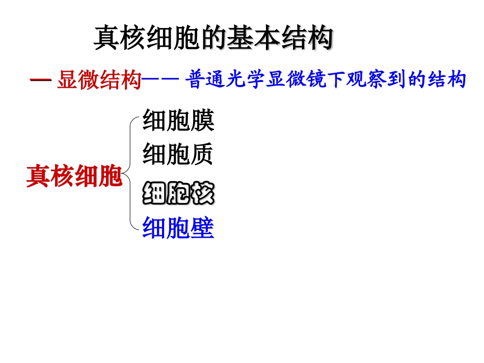 3.1-细胞膜—系统的边界-课件-陈廷锋_第2页