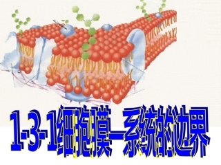 3.1-细胞膜—系统的边界-课件-陈廷锋