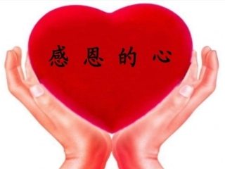 《感恩的心》课件