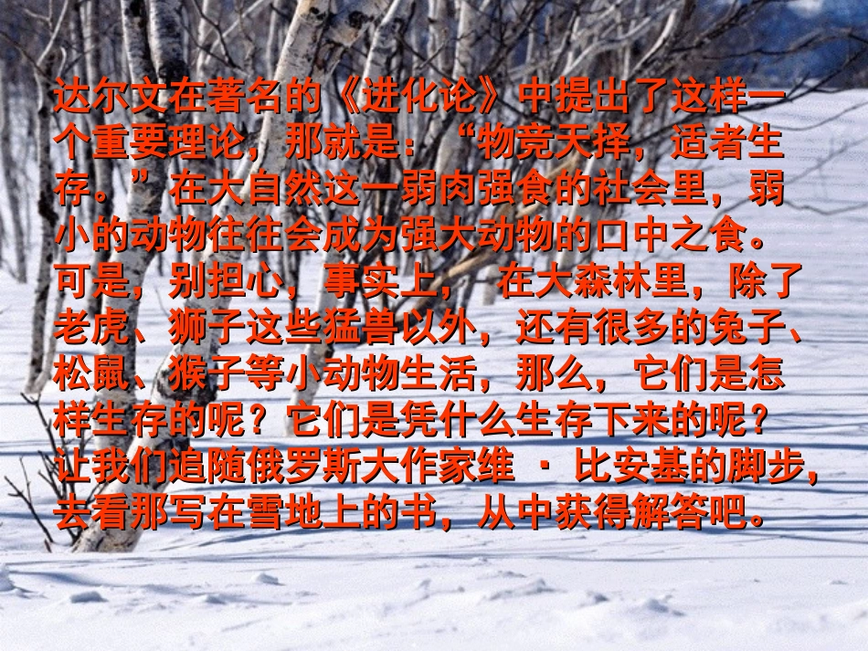 七年级语文上册-第20课《写在雪地上的书》课件-鄂教版_第3页