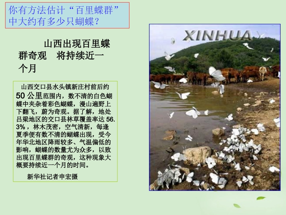 浙江省绍兴县杨汛桥镇中学八年级数学上册-4.1-抽样课件3-浙教版_第2页