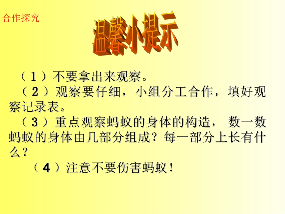 青岛版小学科学三年级下册《蚂蚁》课件2_第3页