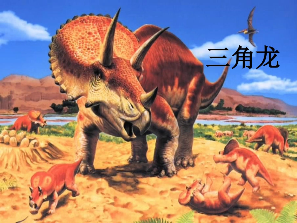 李长旺老师(龙)-2_第1页