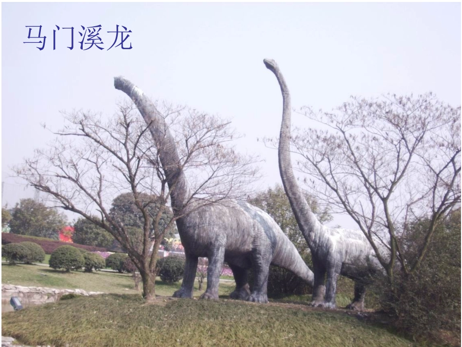 李长旺老师(龙)-2_第2页