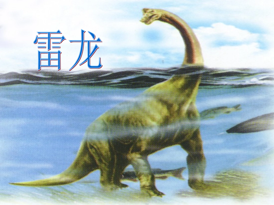 李长旺老师(龙)-2_第3页