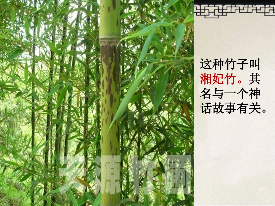 湘夫人(用)_第2页