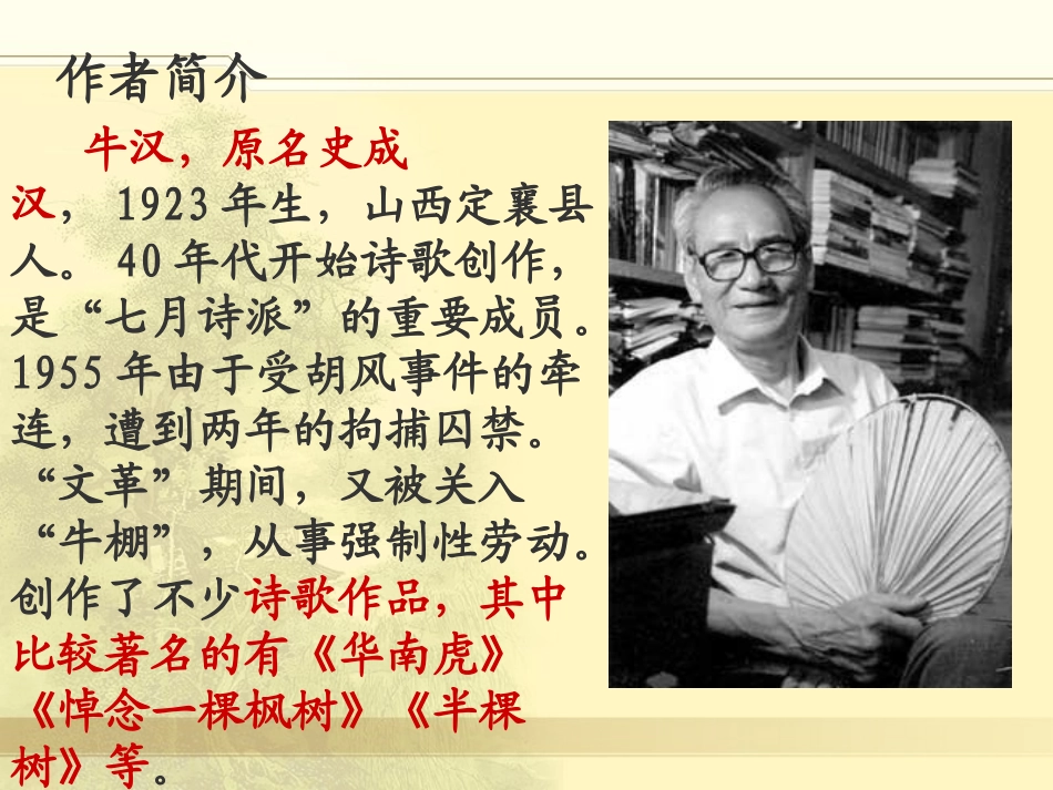 我的第一本书_第3页