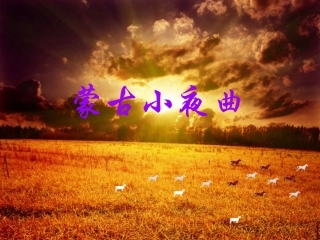 《蒙古小夜曲》课件