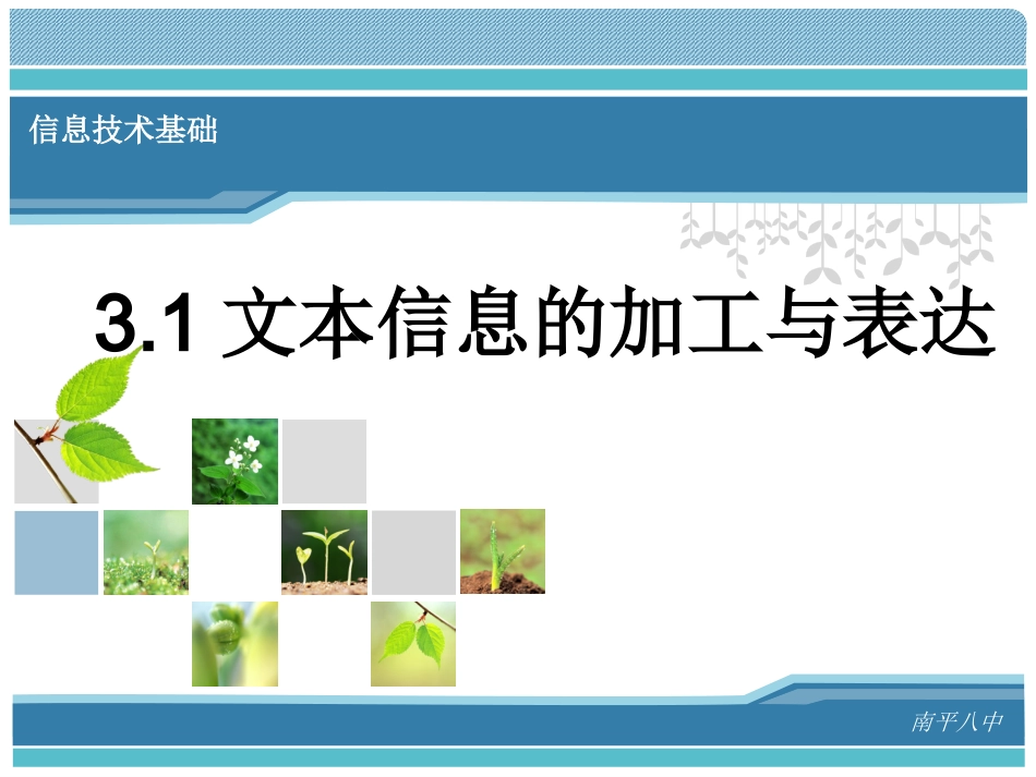 文本信息的加工与表达_第2页