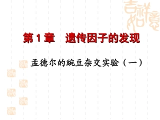 1.1《孟德尔的豌豆杂交实验》-课件10