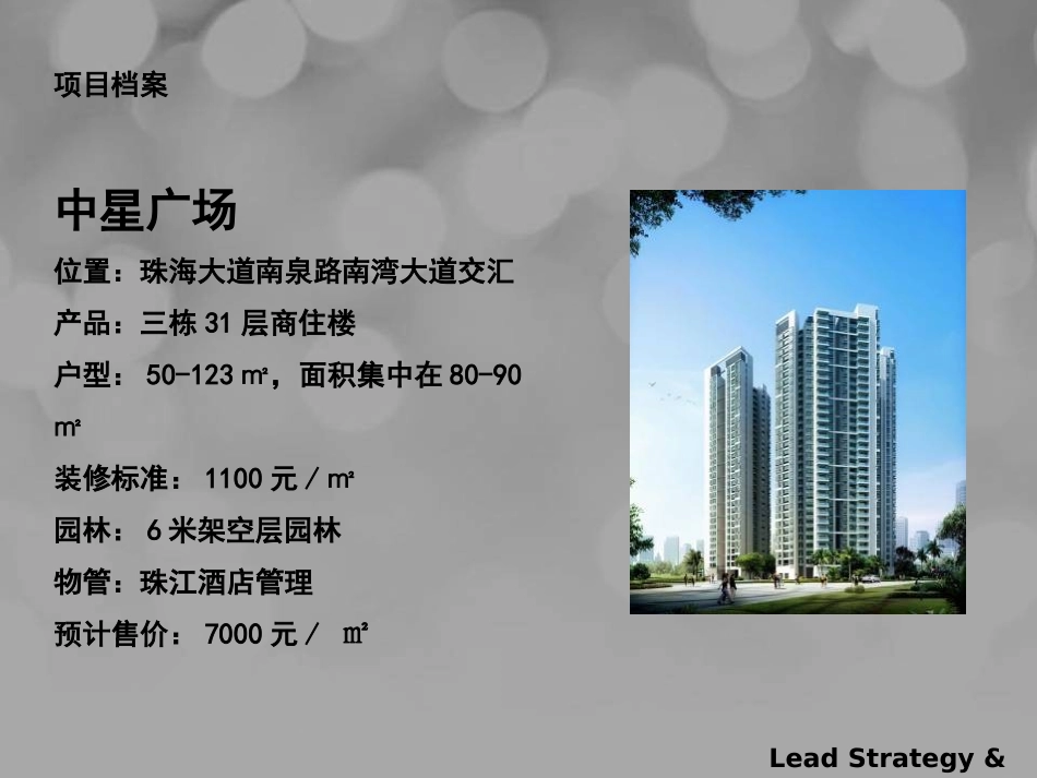 《珠海中星广场精装住宅项目二期广告提案》134页营销方案_第3页
