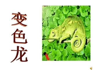 湘教版一年级美术下册变色龙课件PPT.ppt