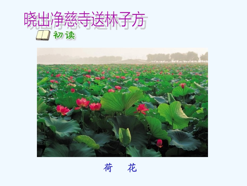 29西师大版五年级下册晓出净慈寺送林子方_第3页