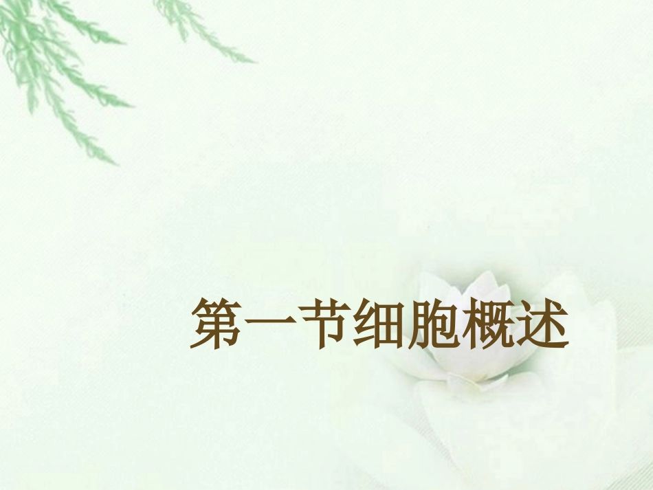 浙江省临海市杜桥中学高二生物《细胞概述》课件_第1页