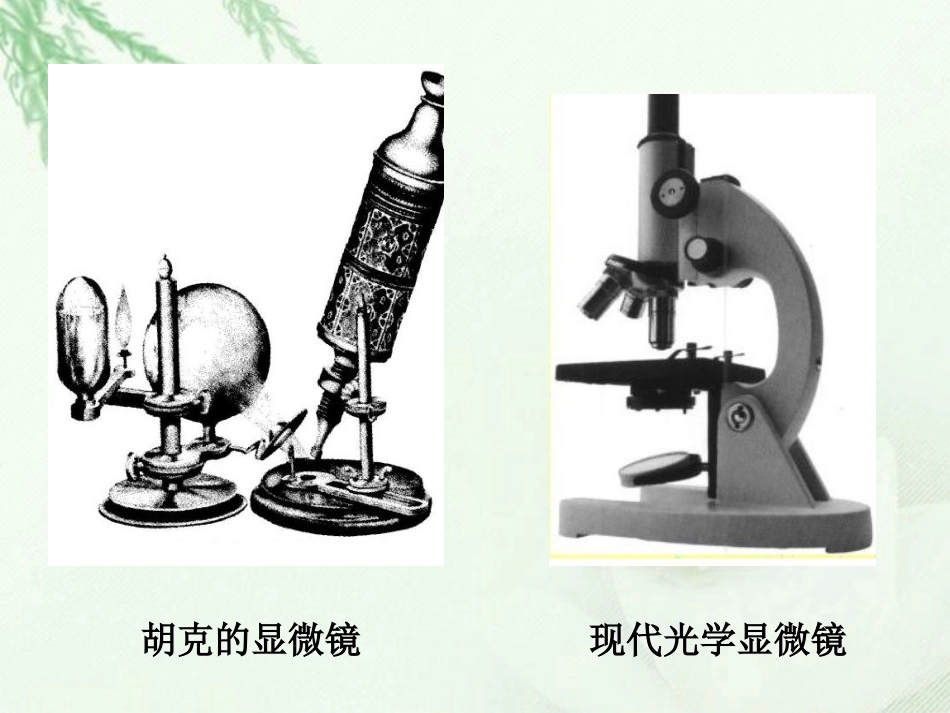 浙江省临海市杜桥中学高二生物《细胞概述》课件_第3页