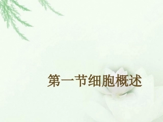 浙江省临海市杜桥中学高二生物《细胞概述》课件