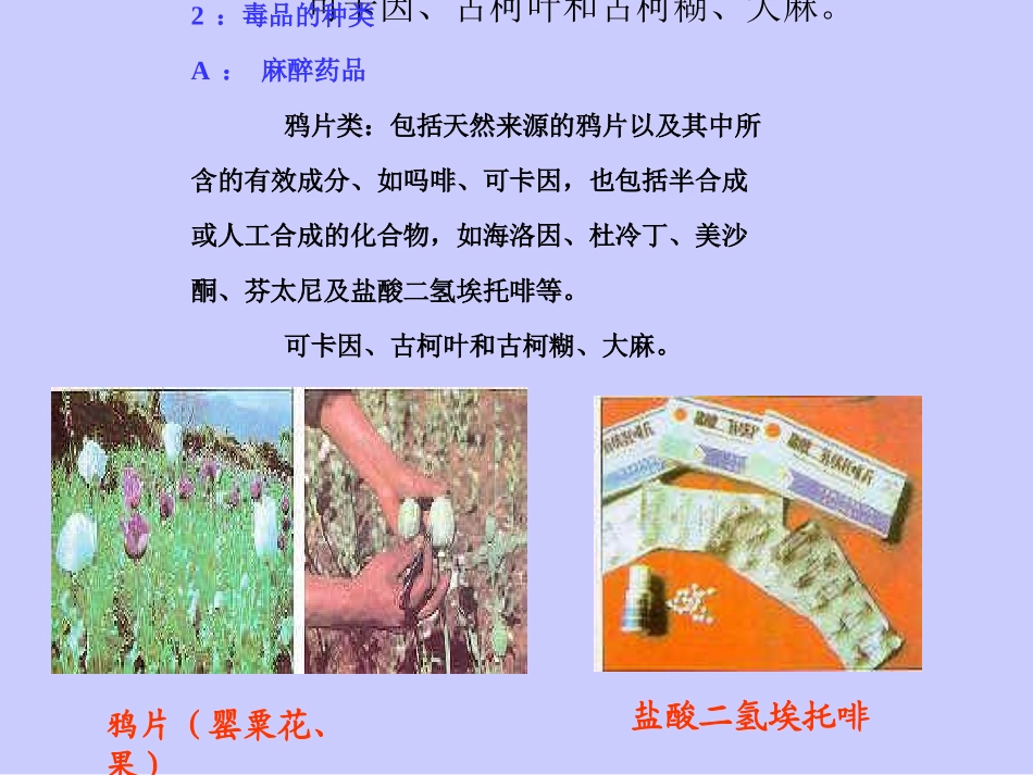 虎门销烟ppt_第3页