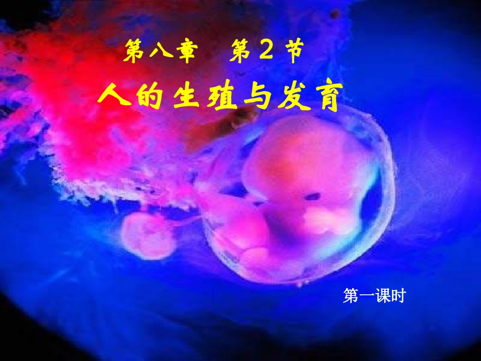 课件(人的生殖和发育)_第2页