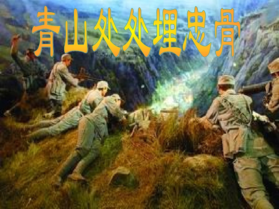 青山不老-课件_第3页