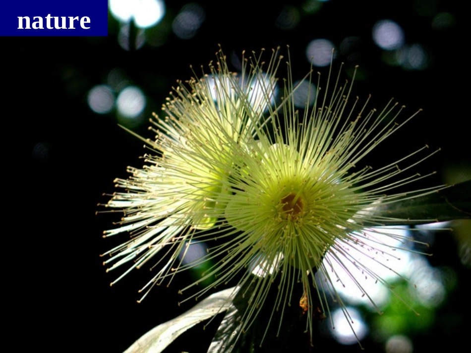 M8U2-Read-on-to-find-out-who-the-winners-are._第3页