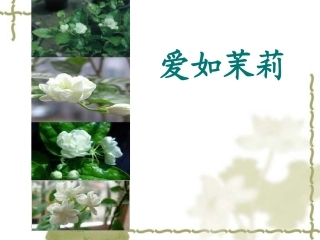 爱如茉莉2-(2)