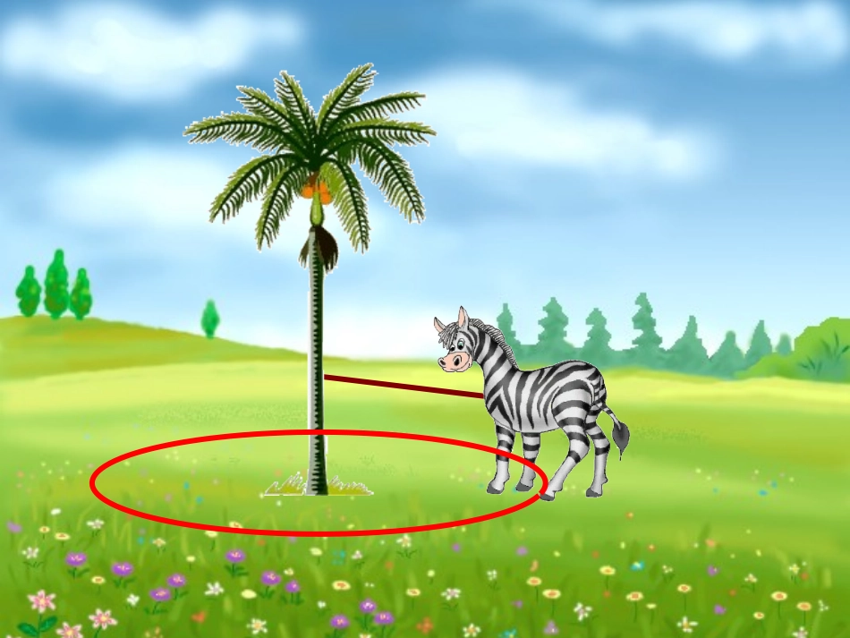 圆的面积ppt[1]_第2页