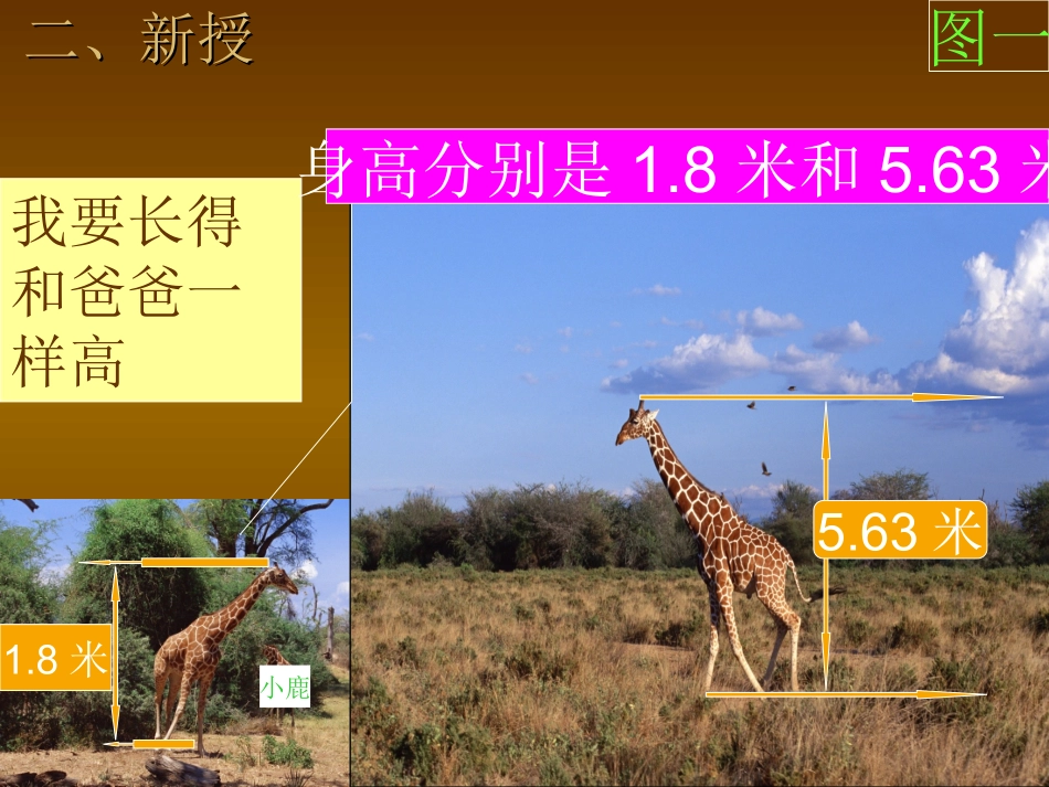 小学数学2011版本小学四年级小数的读法-(3)_第3页