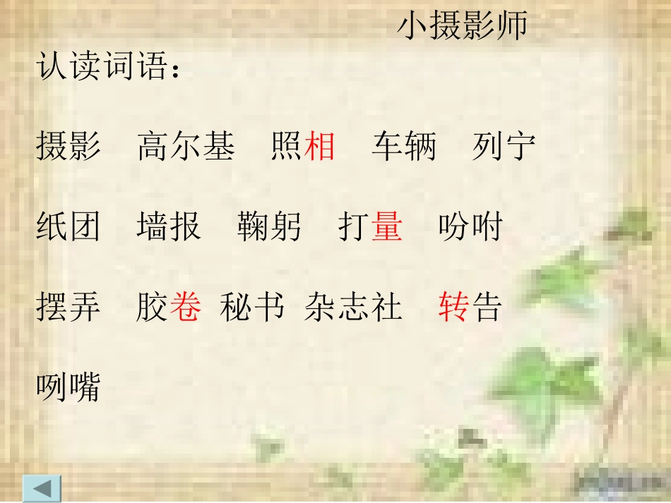 三年级语文上册第二组6.小摄影师第二课时课件_第2页