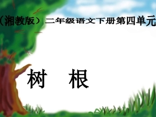 《树根》课件