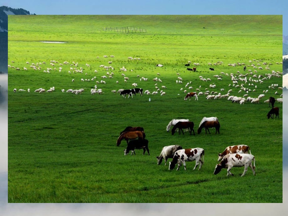 青岛版小学四年级科学下册《地球上有什么》课件_第2页