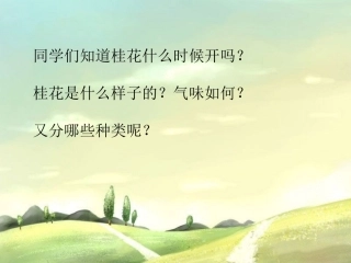 《八月桂花遍地开》课件
