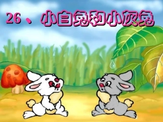 小白兔和小灰兔