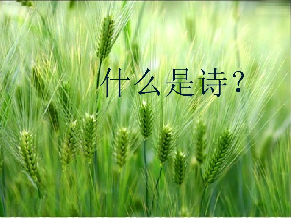 《沁园春·长沙》_第3页