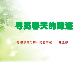 综合性学习：寻觅春天的踪迹