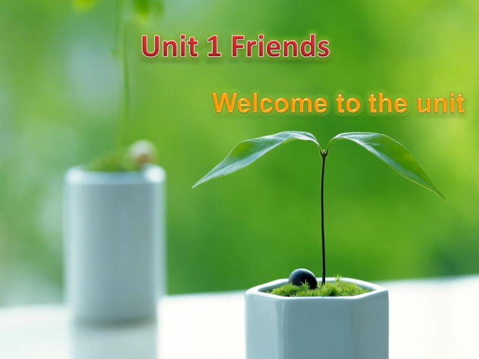 8A-unit1-welcome_第2页