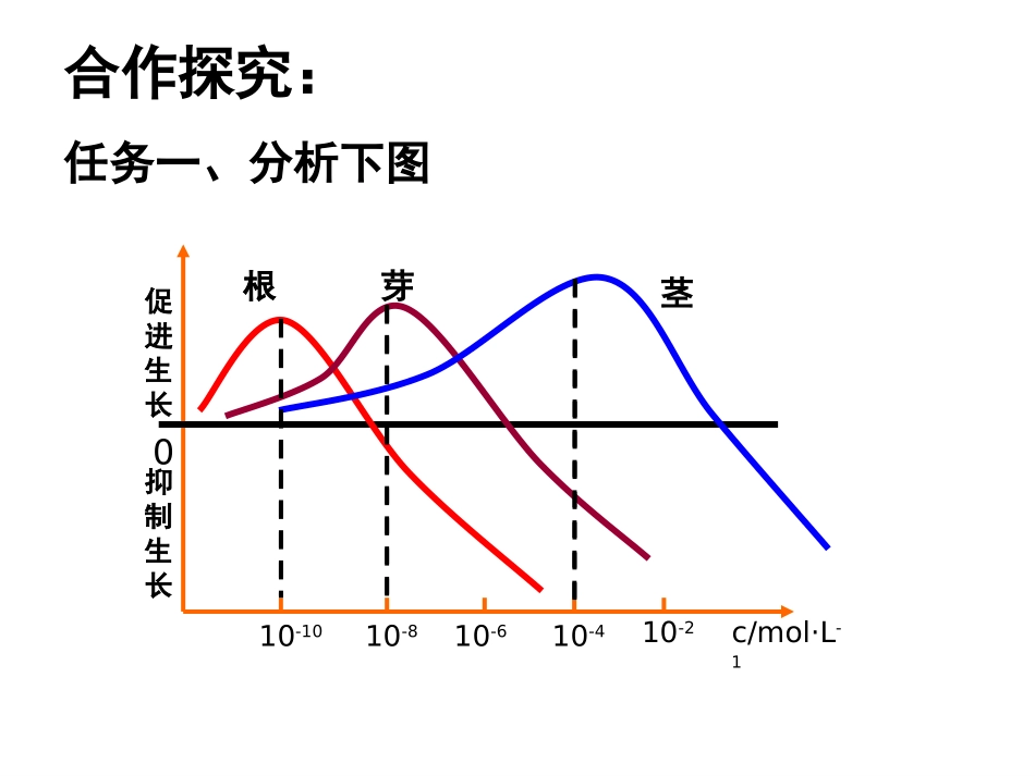生长素的生理作用_第3页