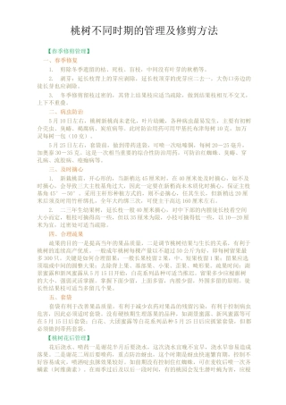 桃树不同时期的管理及修剪方法