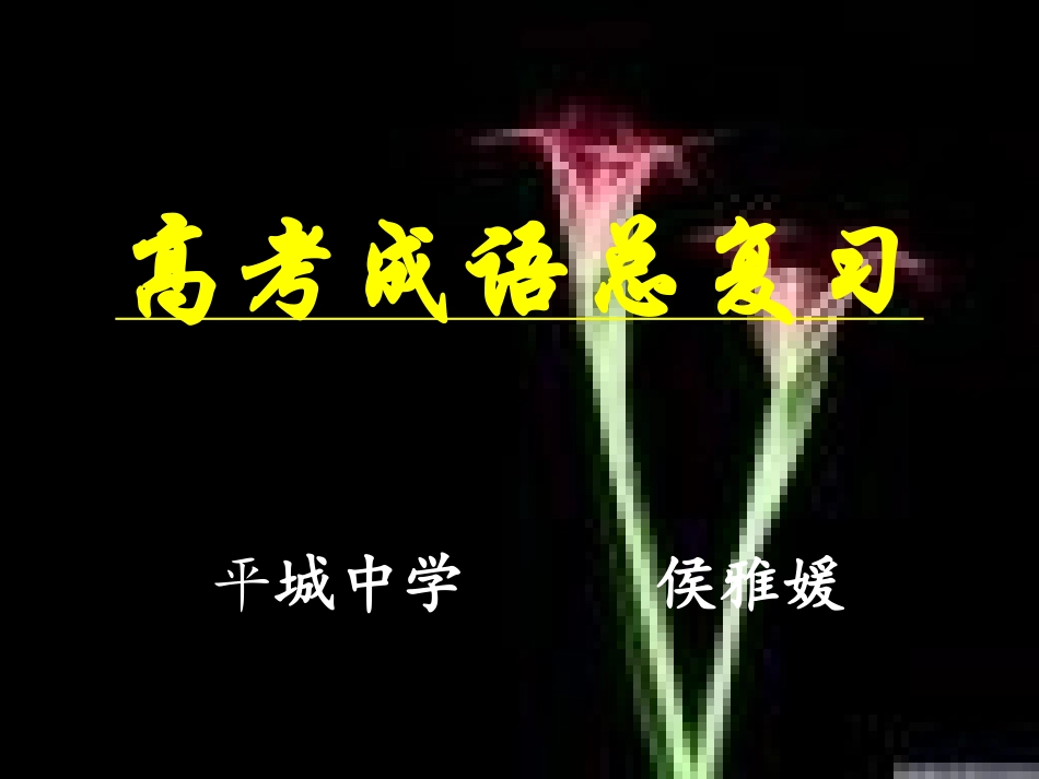 高考成语总复习_第1页