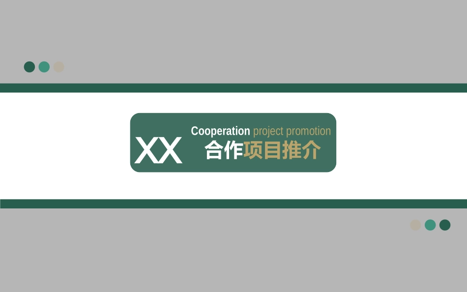 合作项目模板_第1页