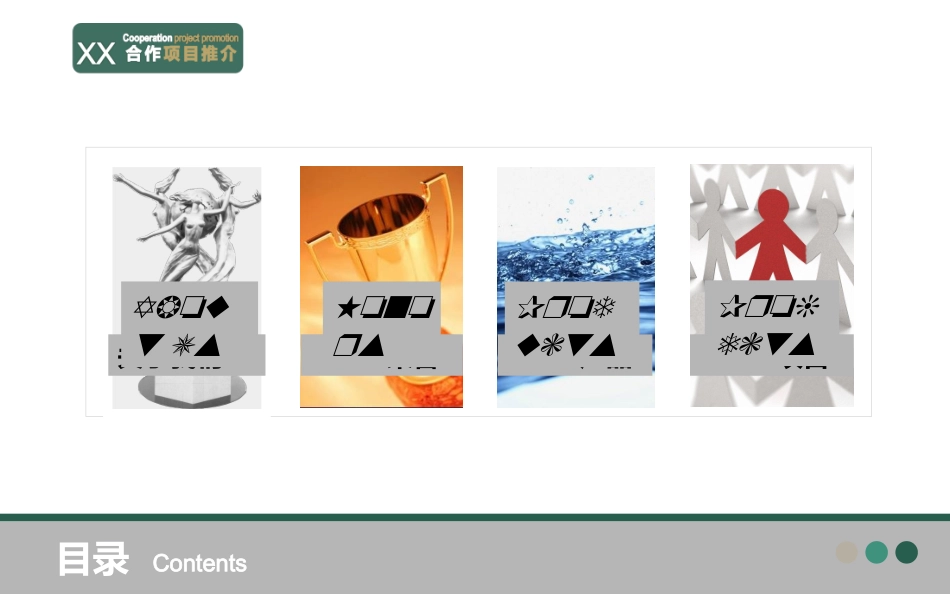 合作项目模板_第2页