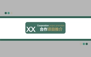 合作项目模板