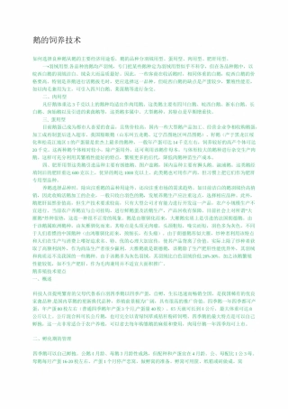 鹅的饲养技术