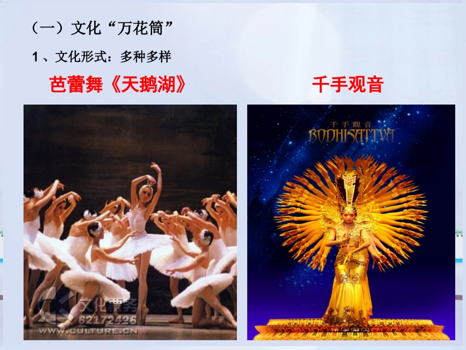 浙江省岱山县大衢中学高中政治-文化生活-体味文化课件-新人教版必修3_第3页