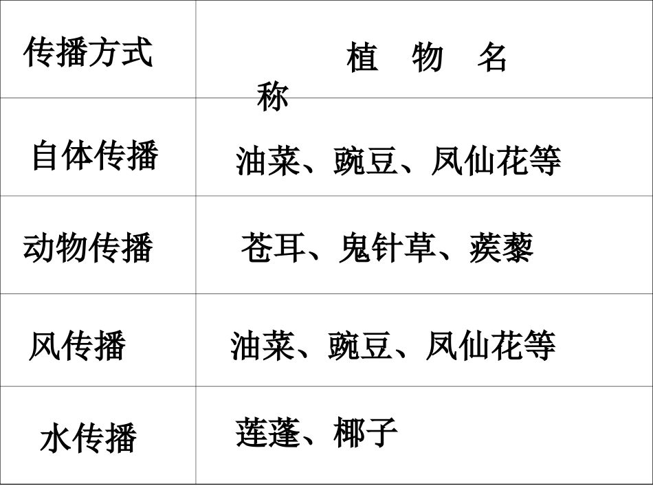 《把种子散播到远处》_第3页