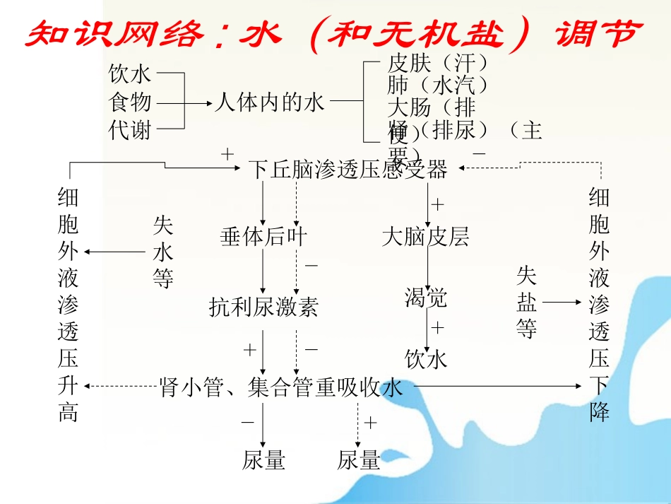 2012届高三生物一轮复习知识网络汇总-第12单元-人体的内环境与稳态课件_第3页